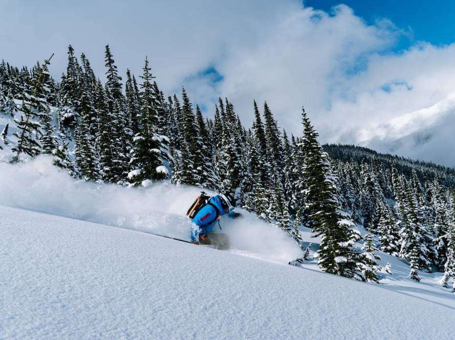 DSC00090 1 e1680620211236